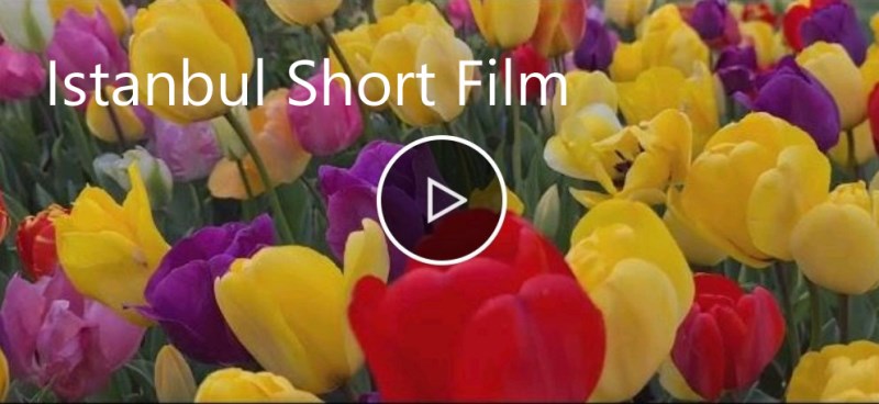 İstanbul Short Film